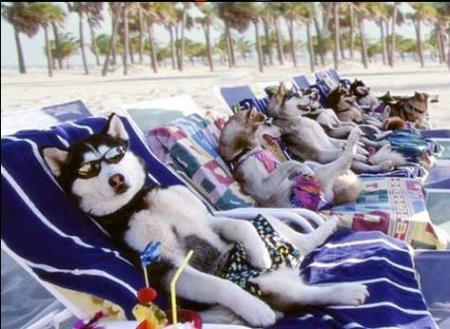 pour eux c toujour les vacances